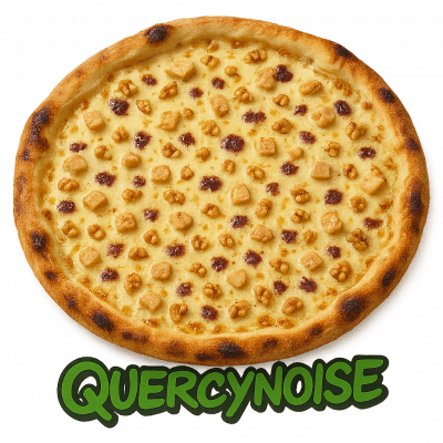 QUERCYNOISE🇫🇷 🦆⭐️:base creme, fromage, ((foie gras, confiture de figue, noix))