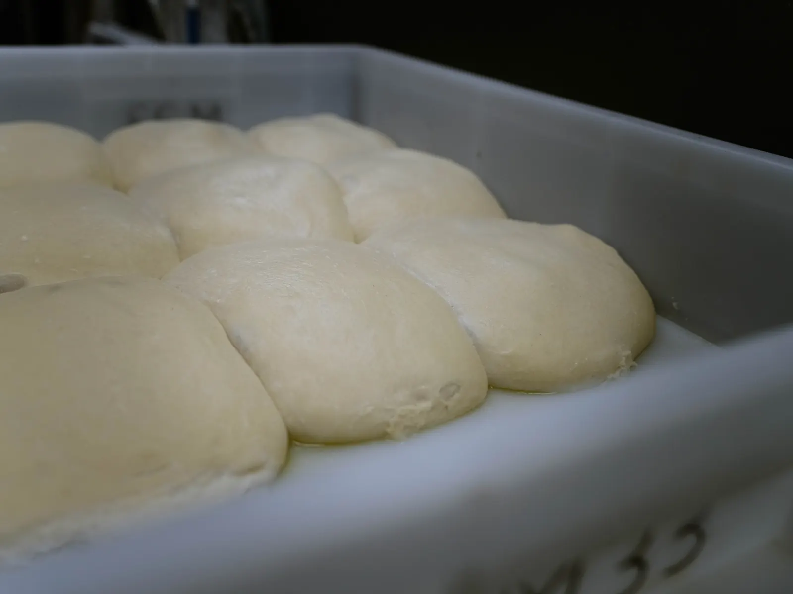 Pâtons de pâte fraîche en bac dans la cuisine Euryth'meal