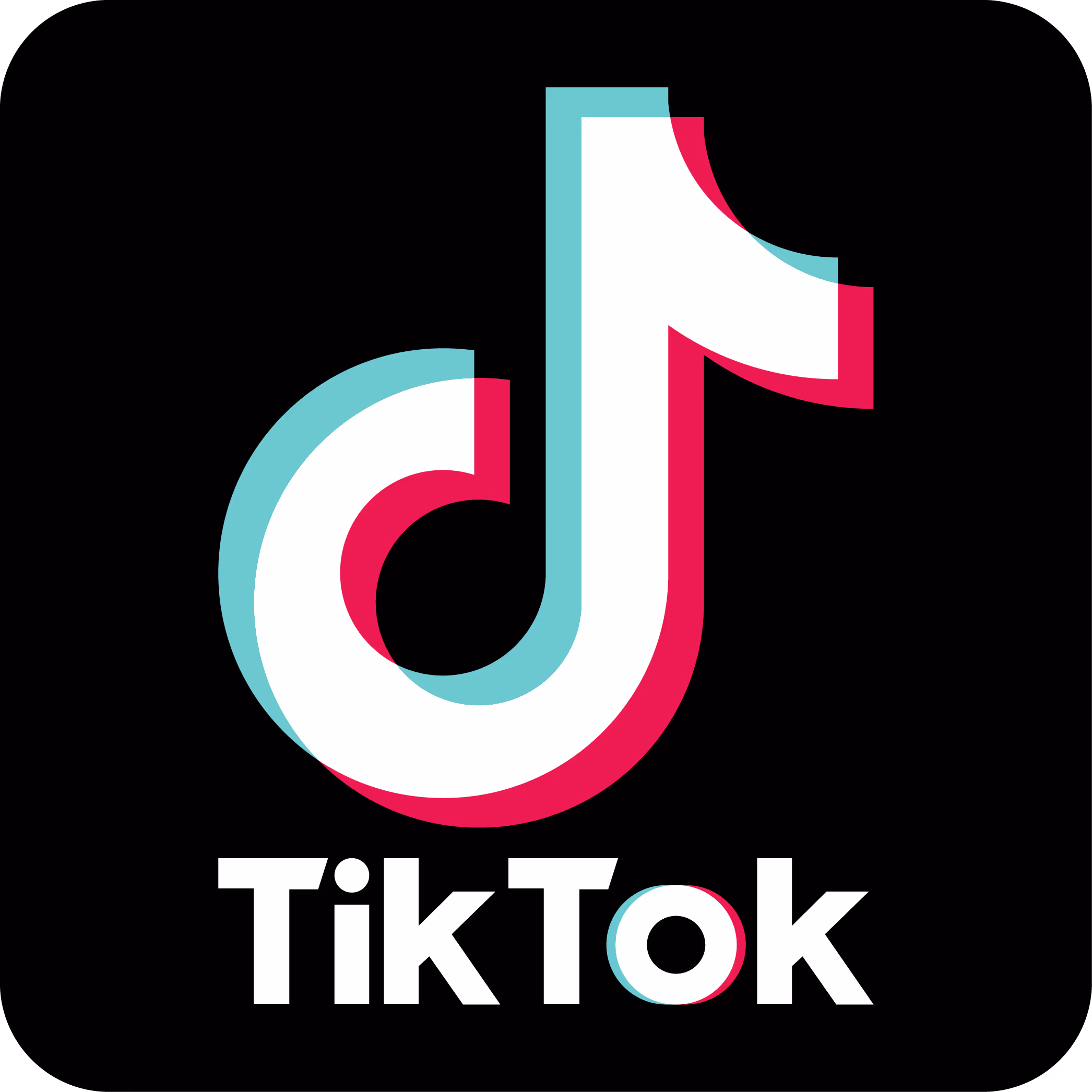 TikTok Euryth'meal